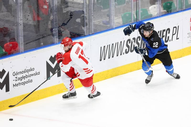 Ice Hockey. Olympic Qualification. Poland - Estonia. 08.02.2024