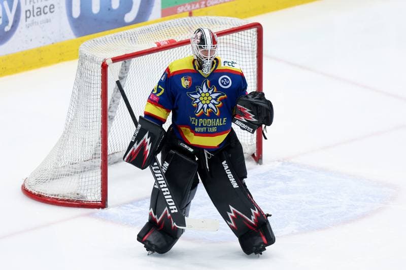Ice Hockey. Tauron Hokej Liga. Zaglebie Sosnowiec - PZU Podhale Nowy Targ. 14.02.2024