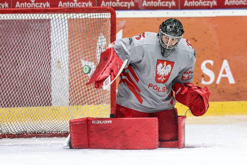 Ice Hockey. Poland national team. Training. 03.11.2024