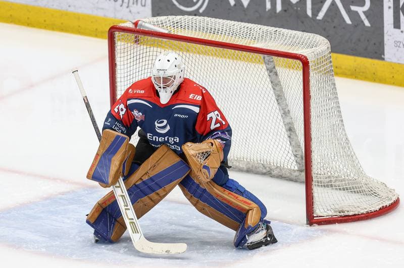 Ice Hockey. Tauron Hokej Liga. EC Bedzin Zaglebie Sosnowiec - KH Energa Torun. 19.01.2025