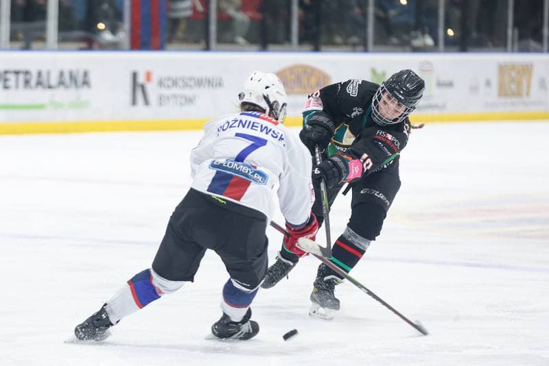 Ice Hockey. Tauron Liga Kobiet. BS Polonia Bytom - Kojotki Naprzod Janow. 16.03.2024