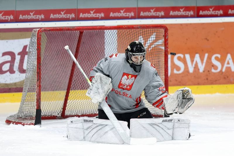 Ice Hockey. Poland national team. Training. 02.04.2024