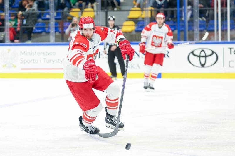 Ice Hockey. Friendly Match. Poland - Hungary. 12.04.2024