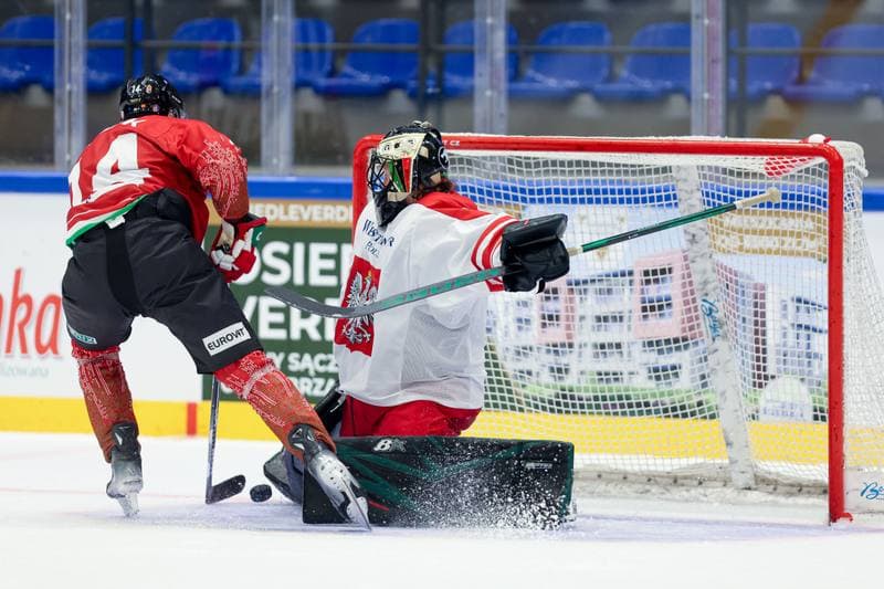Ice Hockey. Friendly Match. Poland - Hungary. 12.04.2024