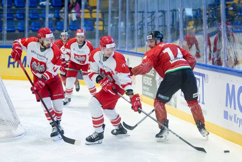 Ice Hockey. Friendly Match. Poland - Hungary. 13.04.2024