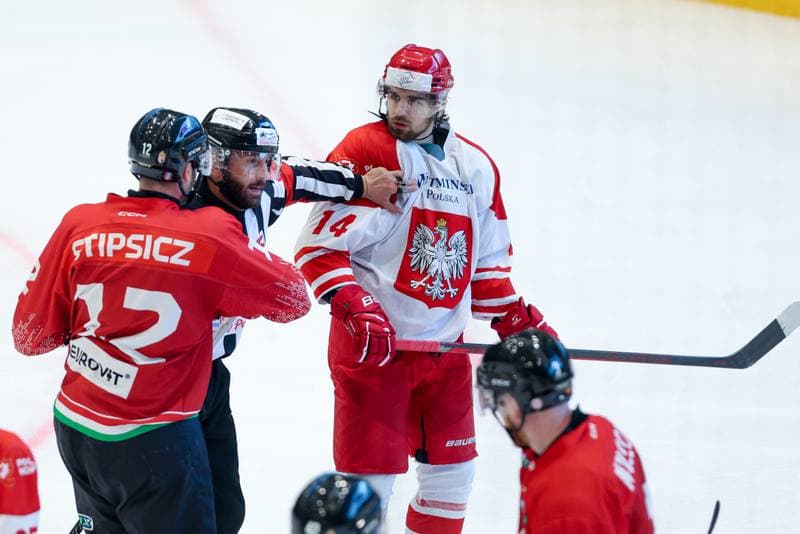 Ice Hockey. Friendly Match. Poland - Hungary. 13.04.2024