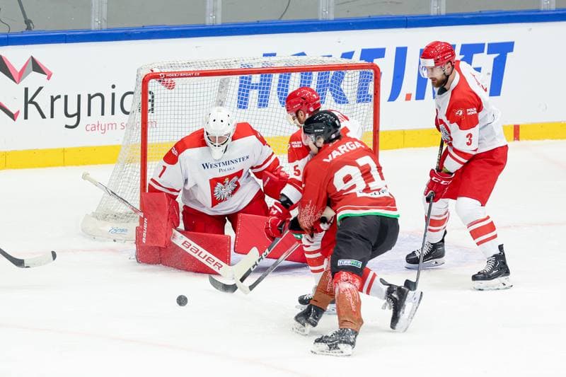 Ice Hockey. Friendly Match. Poland - Hungary. 13.04.2024
