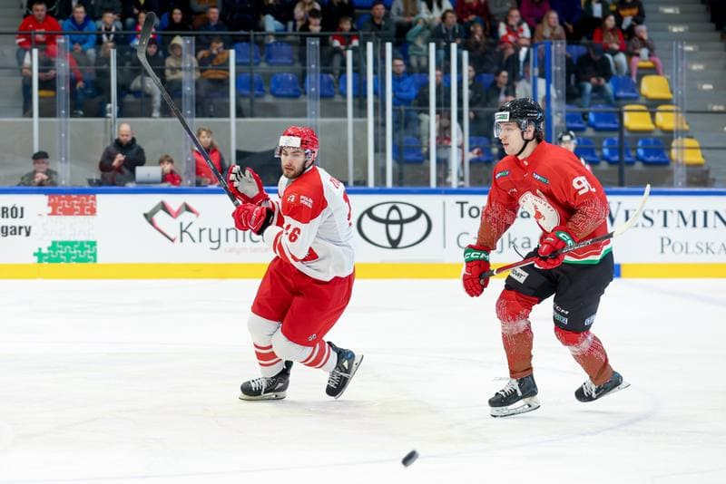 Ice Hockey. Friendly Match. Poland - Hungary. 13.04.2024