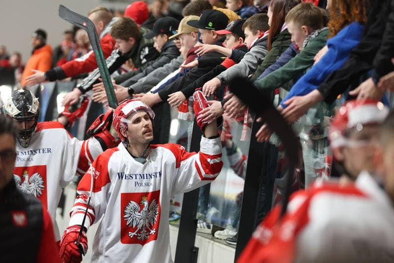Ice Hockey. Friendly Match. Poland - Slovenia. 19.04.2024