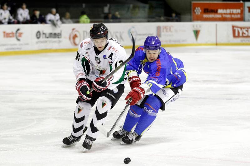 Ice Hockey. Polska Hokej Liga. GKS Tychy - Orlik Opole. 13.01.2017
