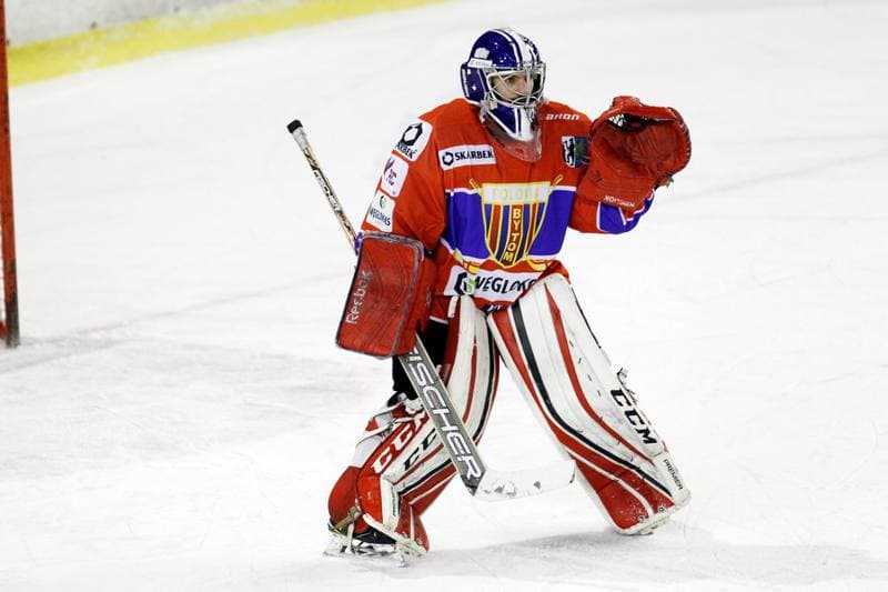 Ice Hockey. Polska Hokej Liga. Zaglebie Sosnowiec - Weglokoks Kraj Polonia Bytom. 13.01.2019