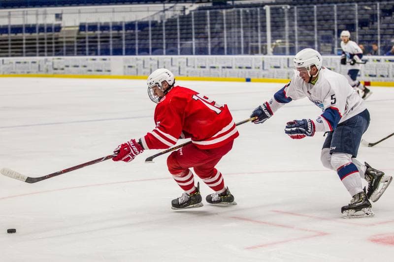 Ice Hockey. Friendly Match. Poland U20 - HK Nitra. 16.08.2019