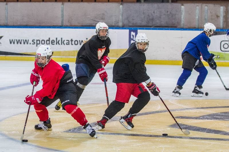Ice Hockey. Poland national team. Training. 24.09.2019
