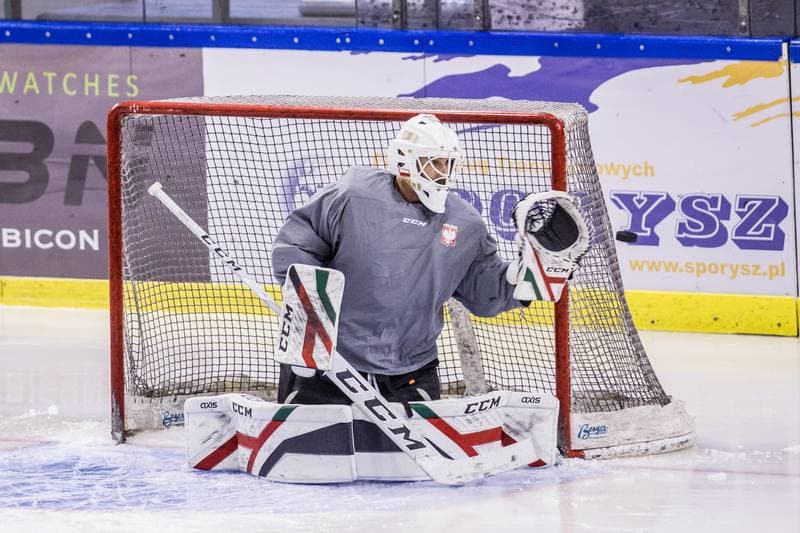 Ice Hockey. Poland national team. Training. 15.12.2020