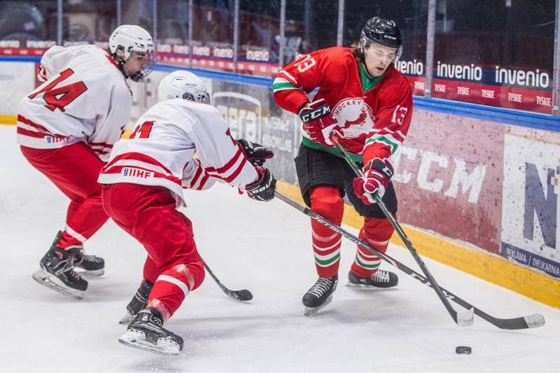 Ice Hockey. Poland U20. - Hungary U20. 08.04.2021