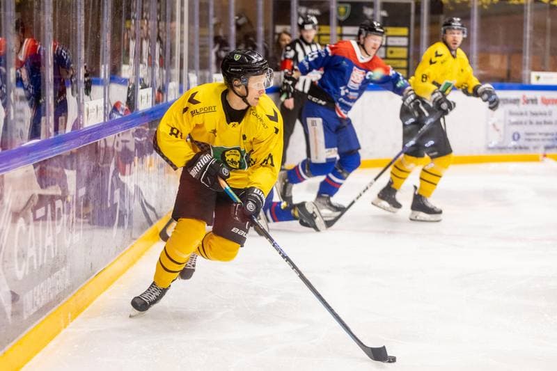 Ice Hockey. PHL. GKS Katowice - Marma Ciarko STS Sanok. 27.11.2022
