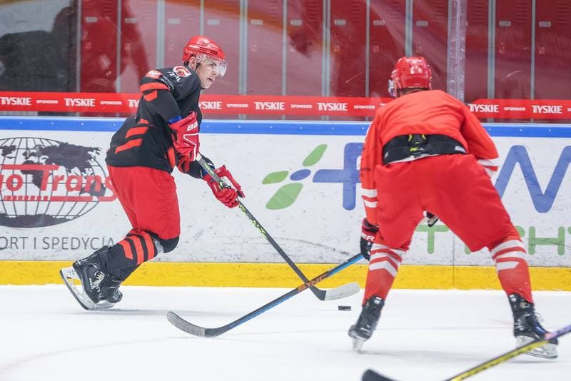 Ice Hockey. Poland national team. Training. 17.04.2023