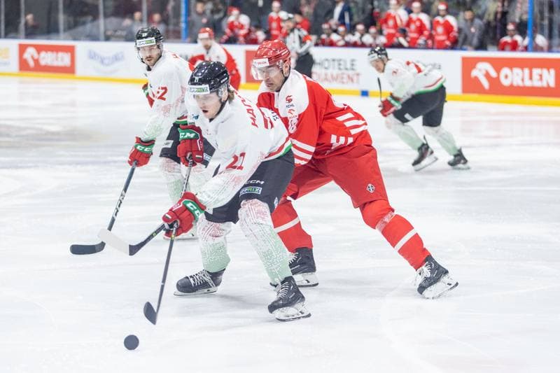 Ice Hockey. Friendly Match. Poland - Hungary. 21.04.2023