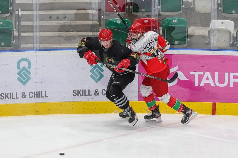 Ice Hockey. Tauron Hokej Liga. Zaglebie Sosnowiec - Comarch Cracovia. 19.11.2023