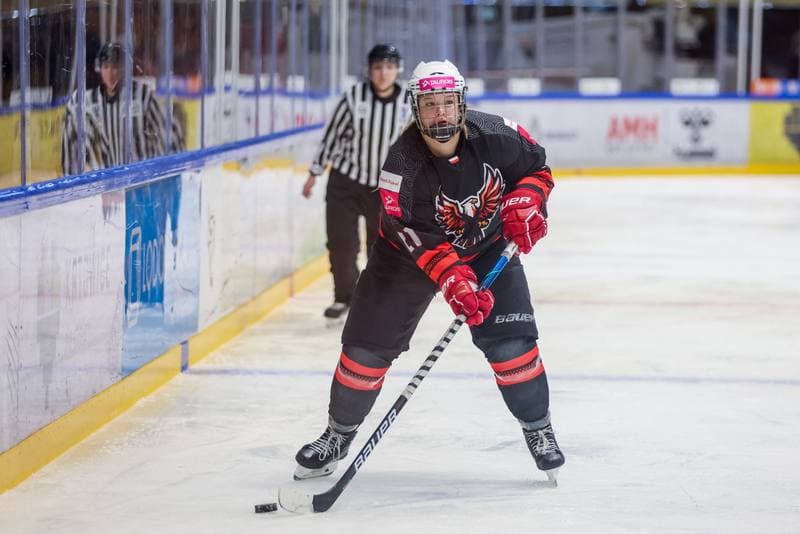 Ice Hockey. EWHL. Tauron Metropolia Silesia - Aisulu Almaty. 26.11.2023