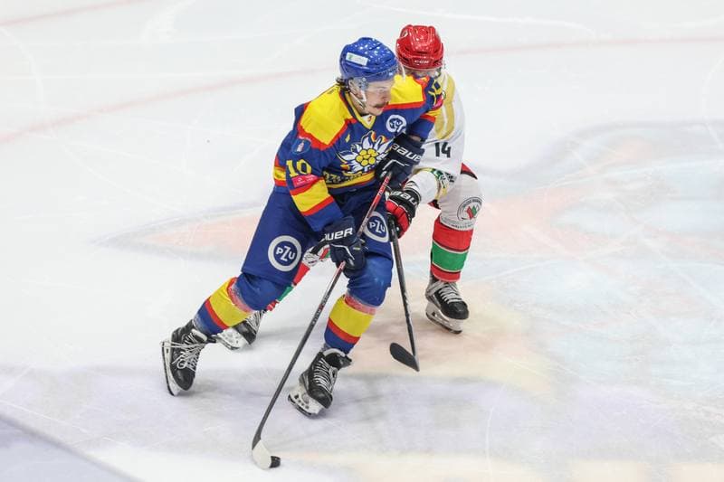 Ice Hockey. Tauron Hokej Liga. Zaglebie Sosnowiec - PZU Podhale Nowy Targ. 03.12.2023