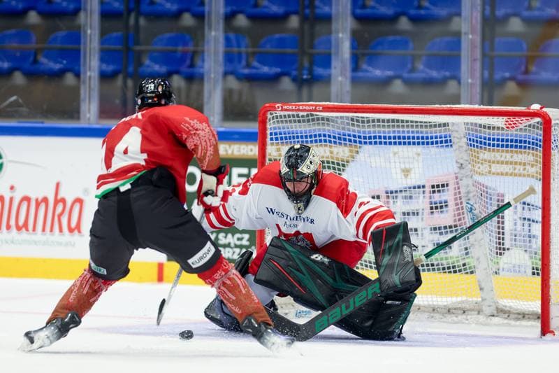 Ice Hockey. Friendly Match. Poland - Hungary. 12.04.2024