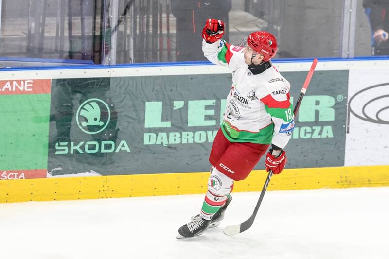Ice Hockey. Tauron Hokej Liga. EC Bedzin Zaglebie Sosnowiec - KH Energa Torun. 19.01.2025