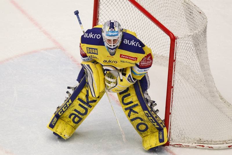Ice Hockey. Tipsport Extraliga. Ocelari Trinec - Aukro Berani Zlin. 30.12.2017