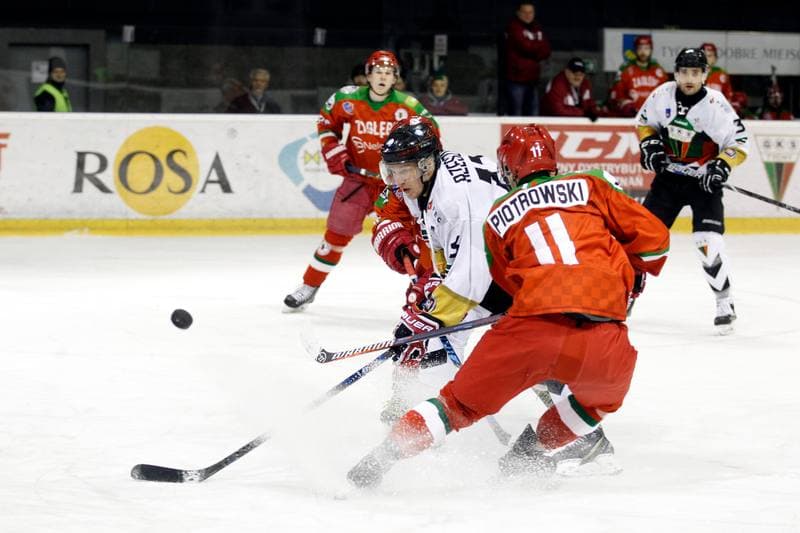 Ice Hockey. Polska Hokej Liga. GKS Tychy - Zaglebie Sosnowiec. 04.01.2019