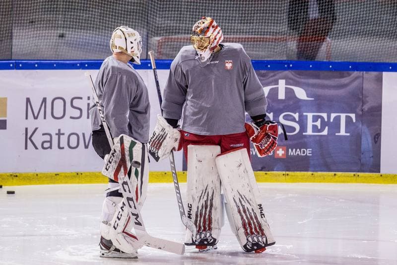 Ice Hockey. Poland national team. Training. 14.12.2020