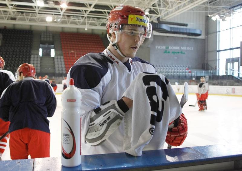 Ice Hockey. Poland national team. Training. 14.04.2015