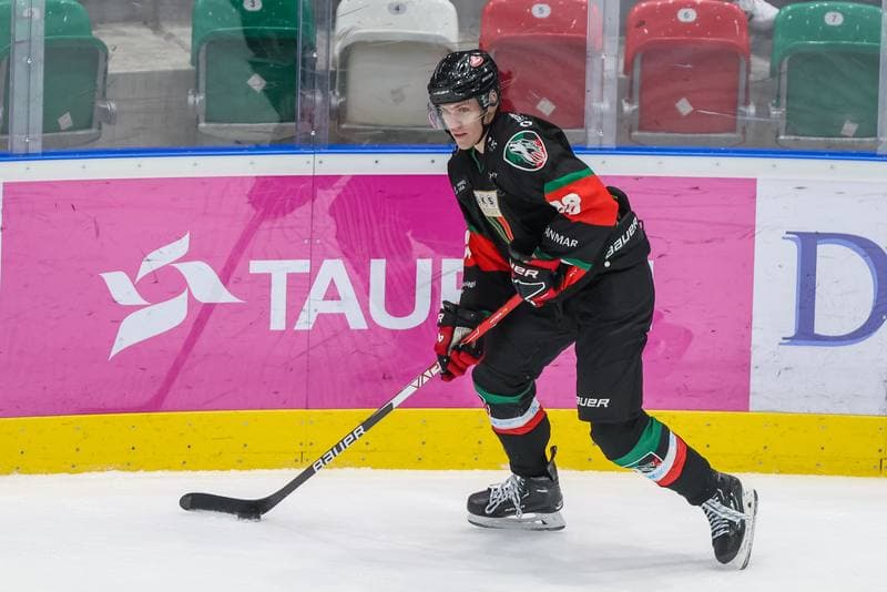 Ice Hockey. Tauron Hokej Liga. Zaglebie Sosnowiec - GKS Tychy. 20.12.2023