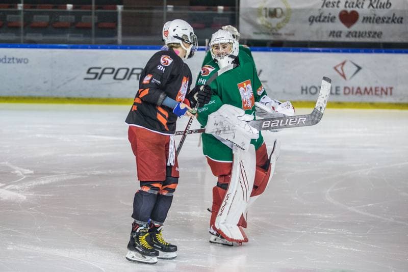Ice Hockey. Poland national team. Training. 31.03.2022