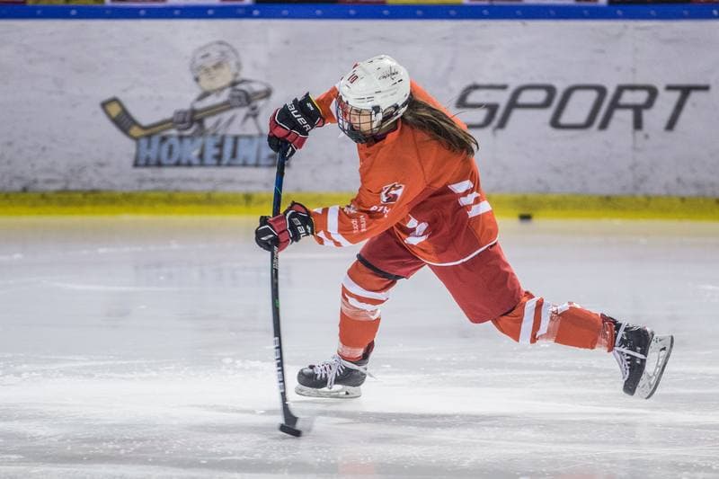 Ice Hockey. Poland national team. Training. 31.03.2022