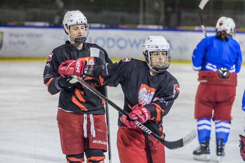 Ice Hockey. Poland national team. Training. 31.03.2022