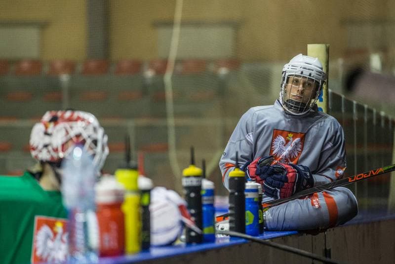 Ice Hockey. Poland national team. Training. 31.03.2022