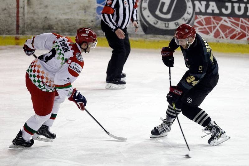 Ice Hockey. Polska Hokej Liga. Zaglebie Sosnowiec - Comarch Cracovia. 22.01.2019