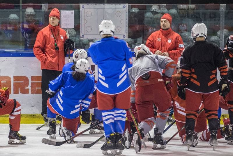 Ice Hockey. Poland national team. Training. 31.03.2022
