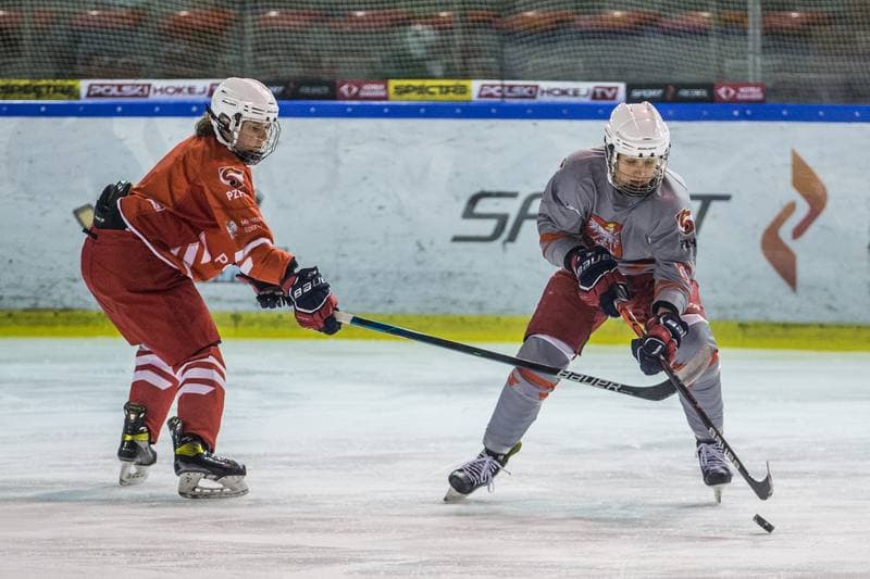 Ice Hockey. Poland national team. Training. 31.03.2022
