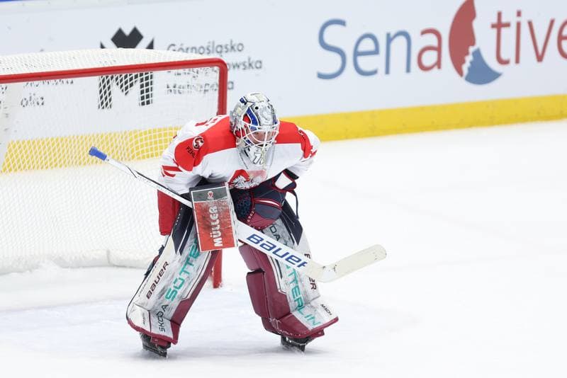Ice Hockey. Friendly Match. Poland - South Korea. 05.02.2024