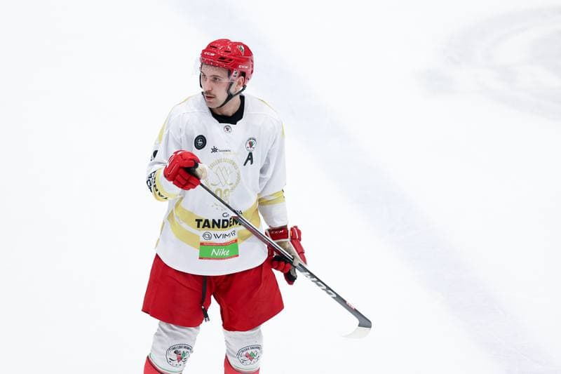 Ice Hockey. Tauron Hokej Liga. Zaglebie Sosnowiec - PZU Podhale Nowy Targ. 14.02.2024