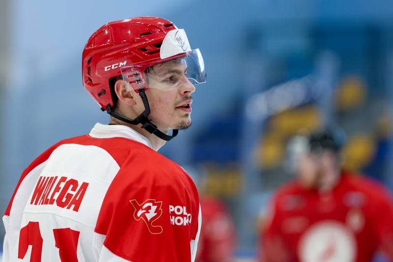 Ice Hockey. Friendly Match. Poland - Hungary. 13.04.2024