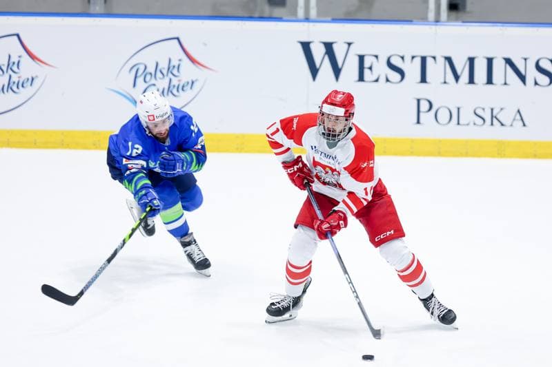 Ice Hockey. Friendly Match. Poland - Slovenia. 18.04.2024