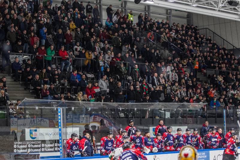 Ice Hockey. Polska Hokej Liga. GKS Tychy - Energa Torun. 21.02.2020