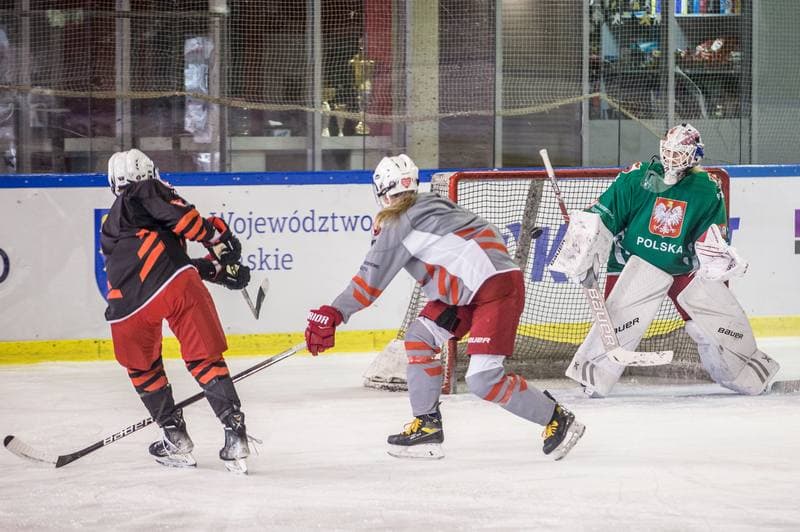 Ice Hockey. Poland national team. Training. 04.04.2022