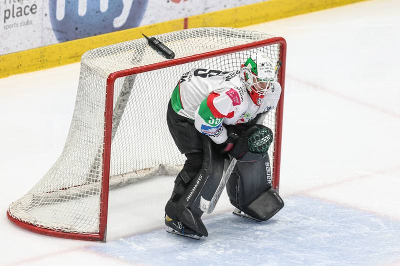 Ice Hockey. Tauron Hokej Liga. EC Bedzin Zaglebie Sosnowiec - KH Energa Torun. 19.01.2025