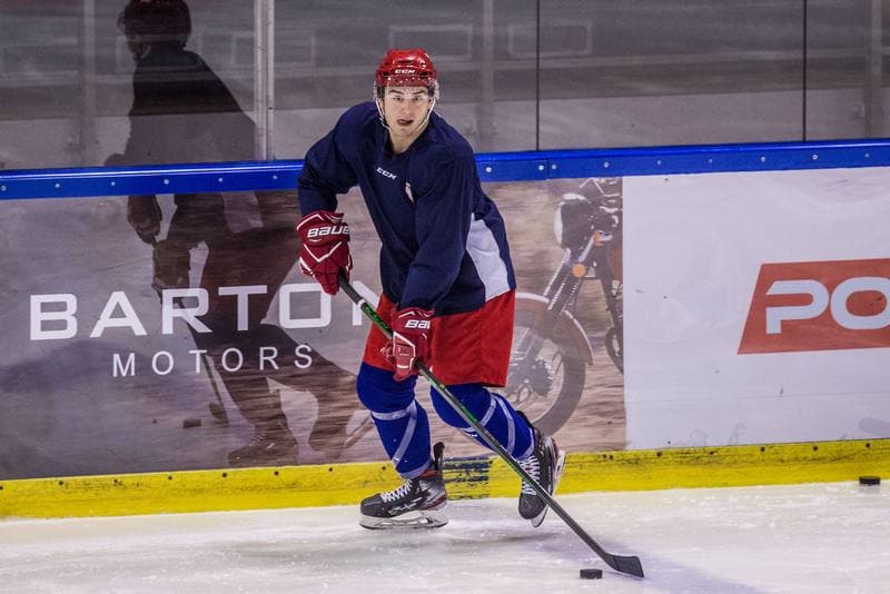 Ice Hockey. Poland national team. Training. 15.12.2020