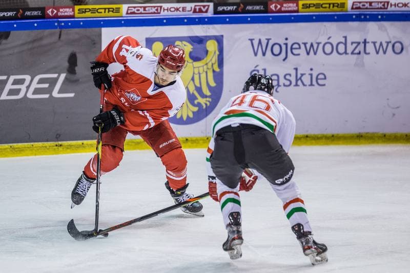 Ice Hockey. Friendly International Match. Poland - Hungary. 17.12.2020