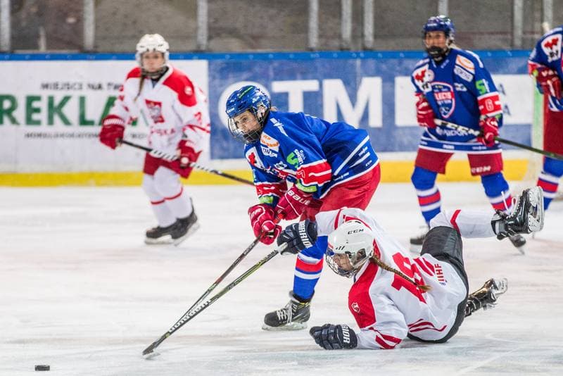 Ice Hockey. EWHL. Silesia Breckens - Hvidovre IK Selects. 30.11.2019