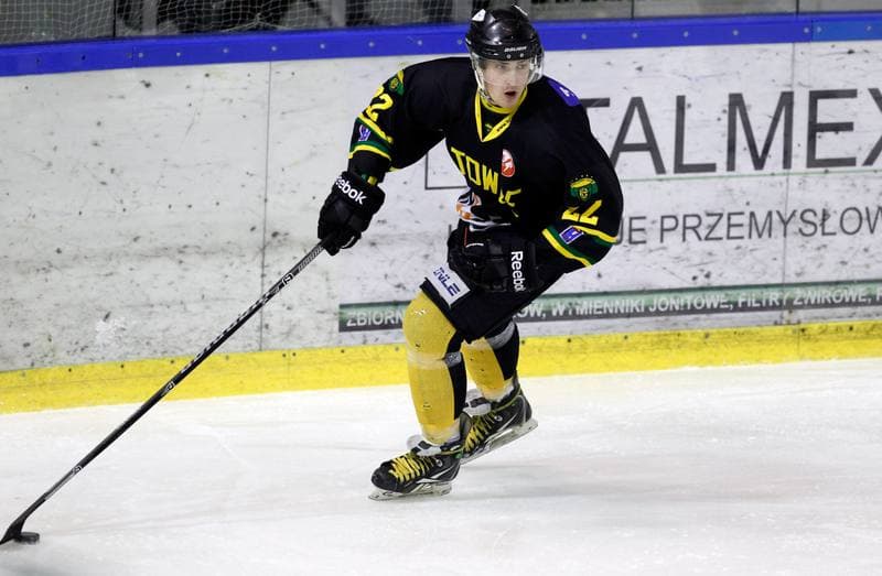 Ice Hockey. Polska Hokej Liga. Naprzod Janow - HC GKS Katowice. 06.01.2015